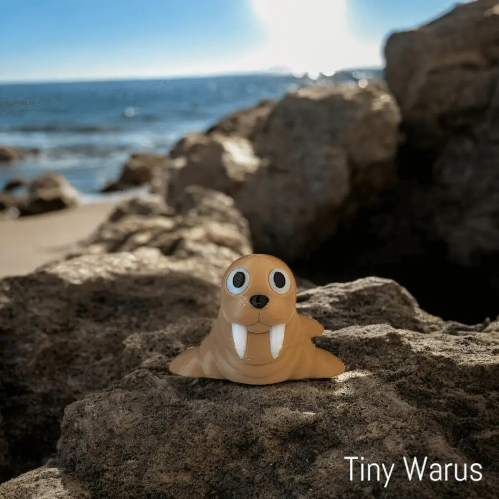 tiny-warus Tiny Walrus - Image 1
