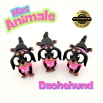 Mini Dachshund - Image 3