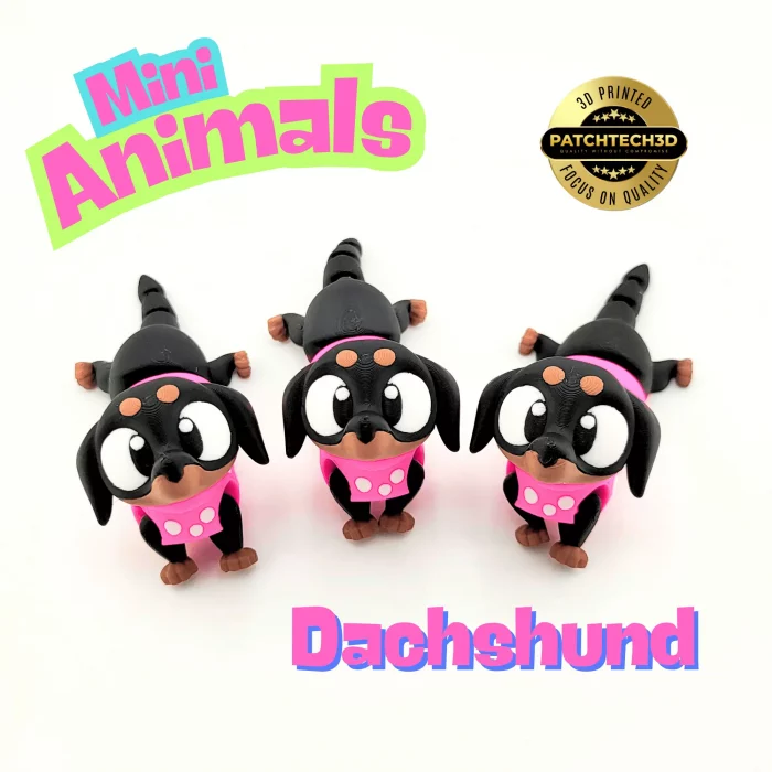 Mini Dachshund - Image 3