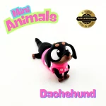 Mini Dachshund - Image 8