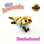 Mini Dachshund - Image 5