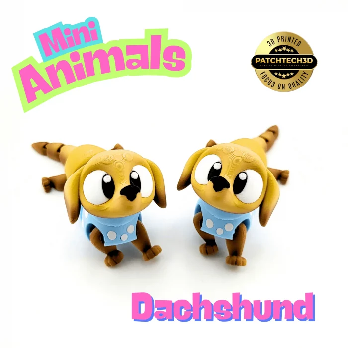Mini Dachshund - Image 7